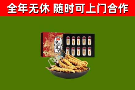 乐至县回收冬虫夏草价格