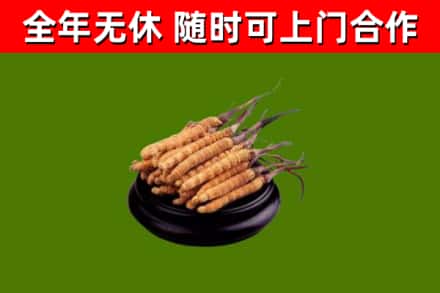 乐至县烟酒回收冬虫夏草.jpg