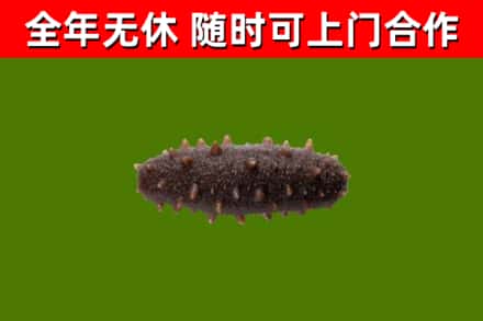 乐至县烟酒回收干海参.jpg